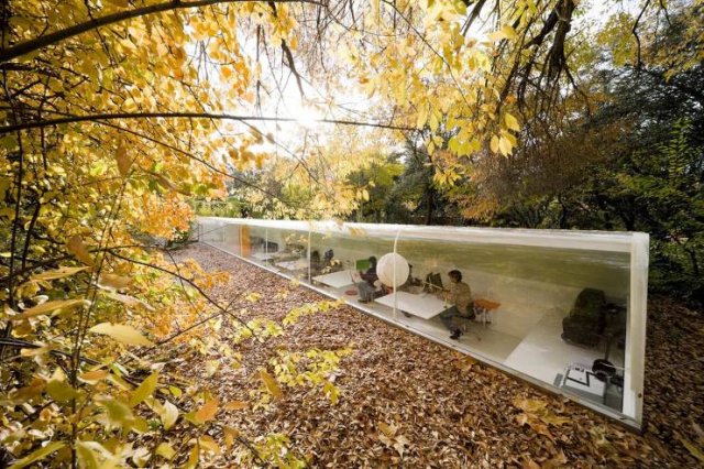 Amazing Pictures (36 pics)