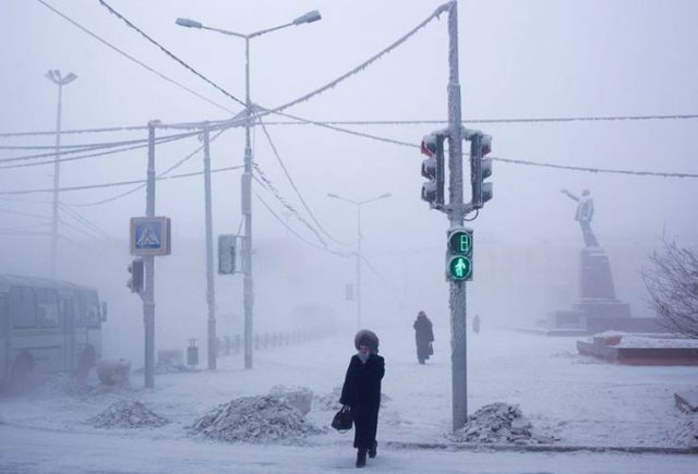 Amazing Pictures (36 pics)