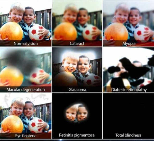 Amazing Pictures (36 pics)