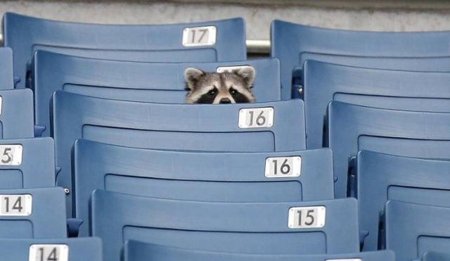 Acid Picdump 2 (92 pics)