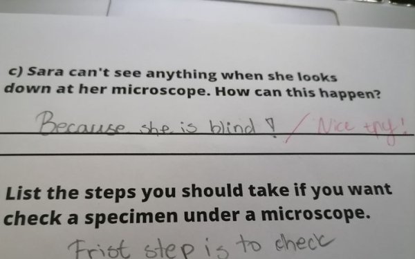 Kids Answer Test Questions (20 pics)