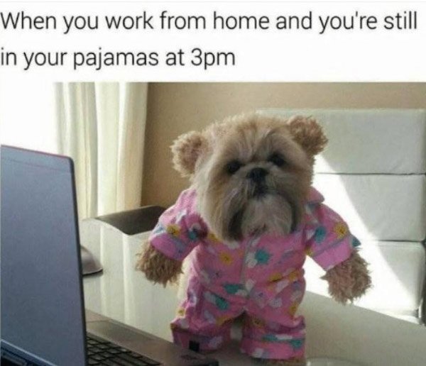 Work Memes (30 pics)