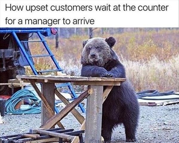 Work Memes (30 pics)
