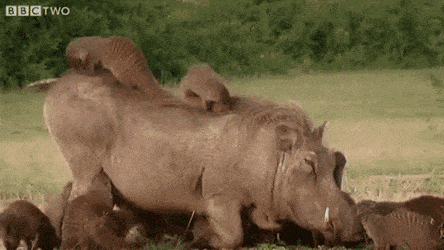 Acid Gifdump, May 11 (25 gifs)