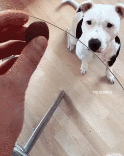 Acid Gifdump, May 11 (25 gifs)