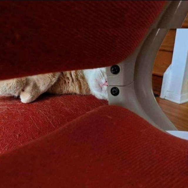 Acid Picdump 1 (64 pics)