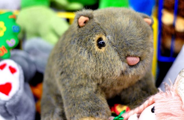 People Share Their Weird Quarantine Habits (36 pics)