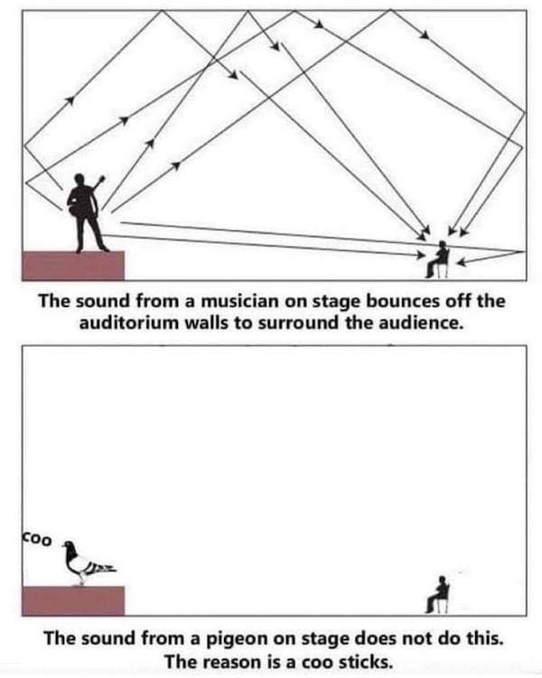 Smart Jokes (34 pics)
