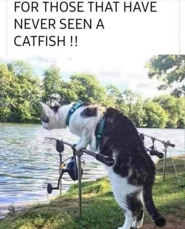 Smart Jokes (34 pics)