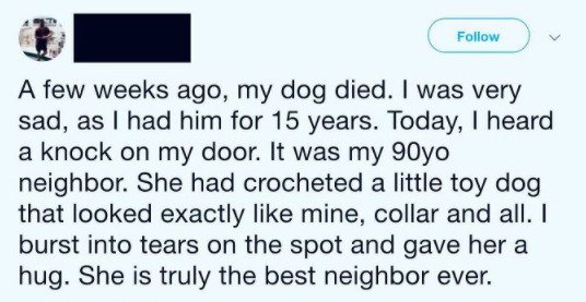Wholesome Dog Stories (32 pics)