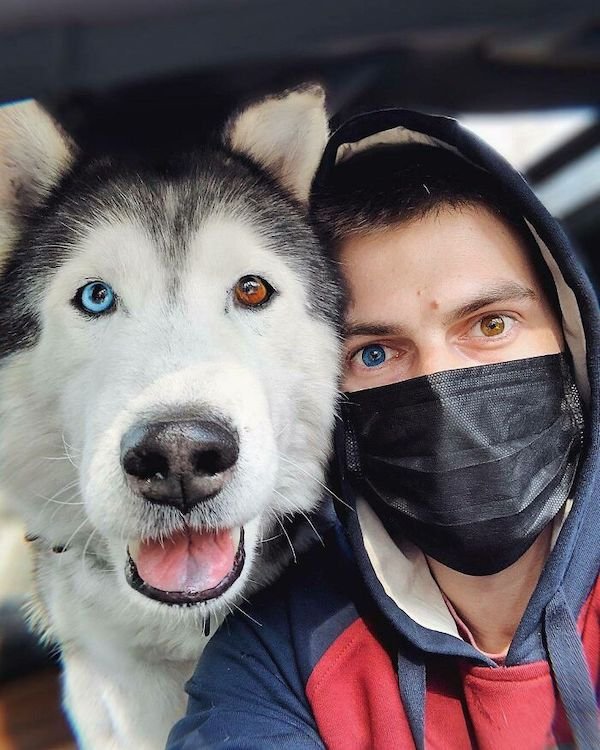 Wholesome Dog Stories (32 pics)