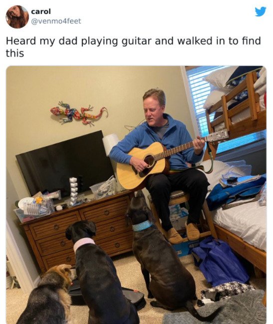 Wholesome Dog Stories (32 pics)