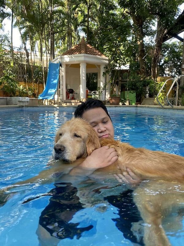 Wholesome Dog Stories (32 pics)