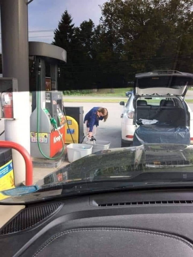 Acid Picdump 1 (63 pics)