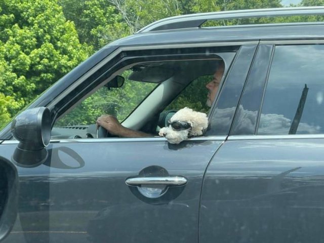 Acid Picdump 1 (63 pics)