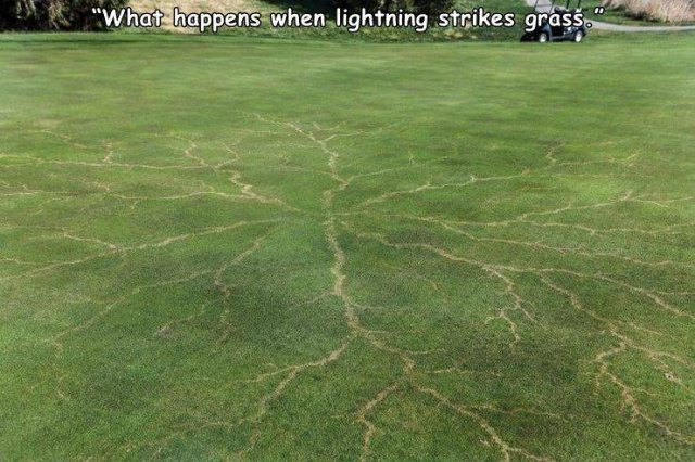 Acid Picdump 1 (63 pics)