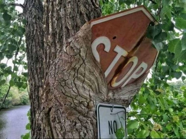 Acid Picdump 1 (63 pics)