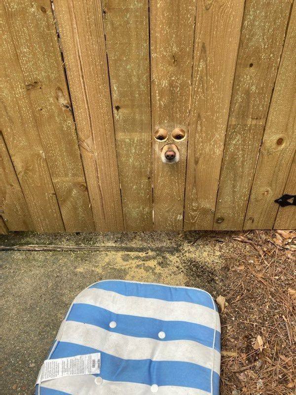 Acid Picdump 1 (63 pics)