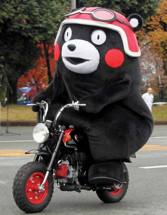 Acid Picdump 1 (63 pics)