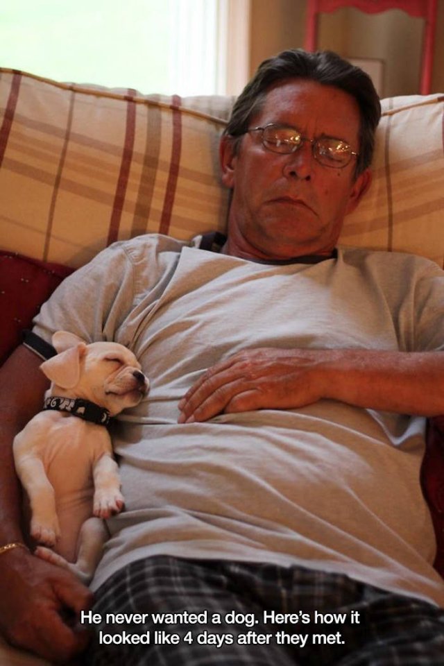 These People Refused To Have Pets (17 pics)