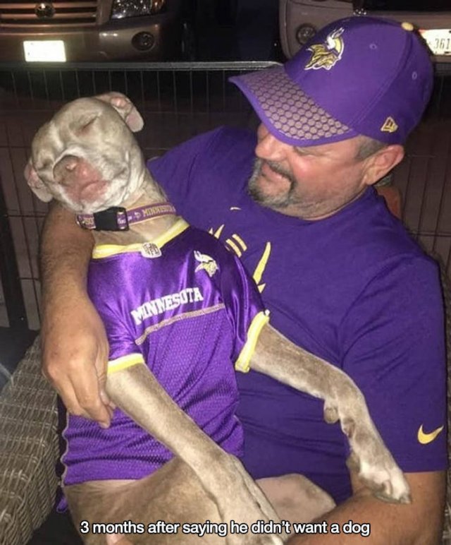 These People Refused To Have Pets (17 pics)