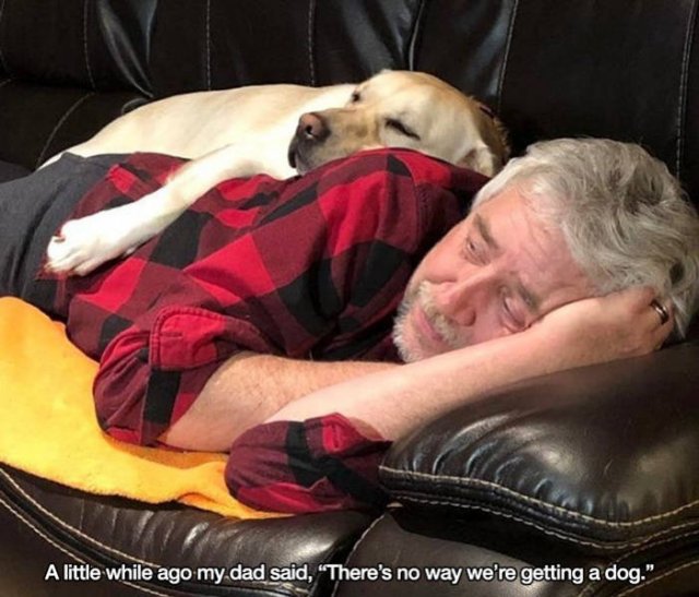These People Refused To Have Pets (17 pics)