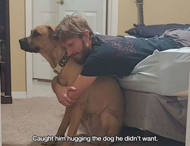 These People Refused To Have Pets (17 pics)