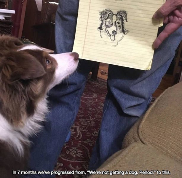 These People Refused To Have Pets (17 pics)