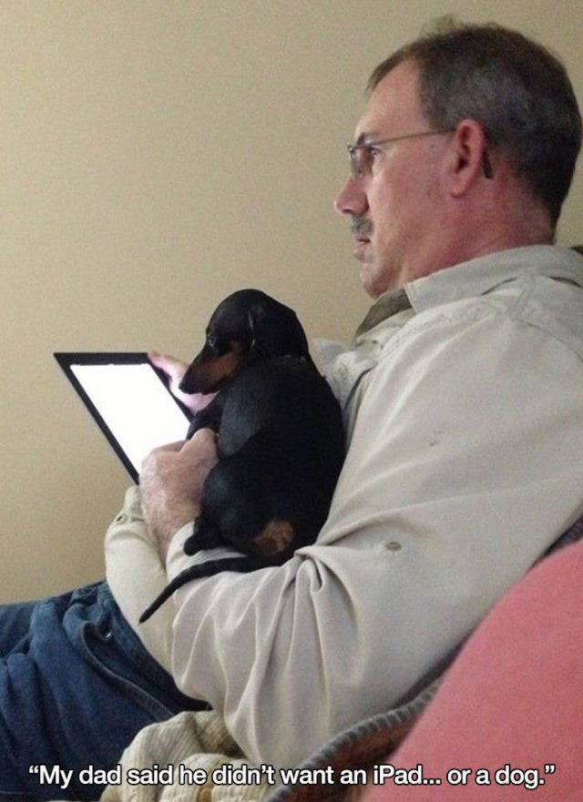 These People Refused To Have Pets (17 pics)