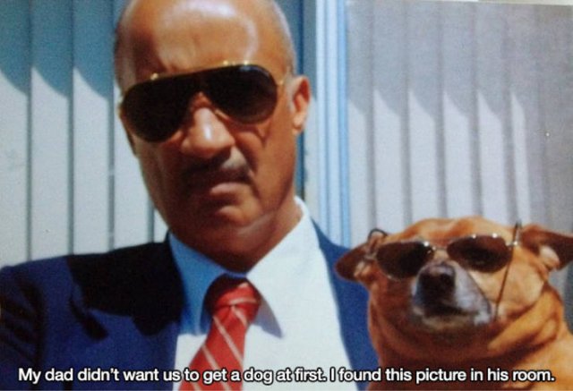 These People Refused To Have Pets (17 pics)