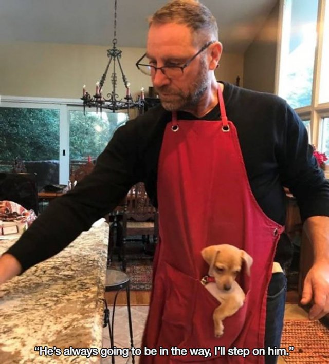 These People Refused To Have Pets (17 pics)