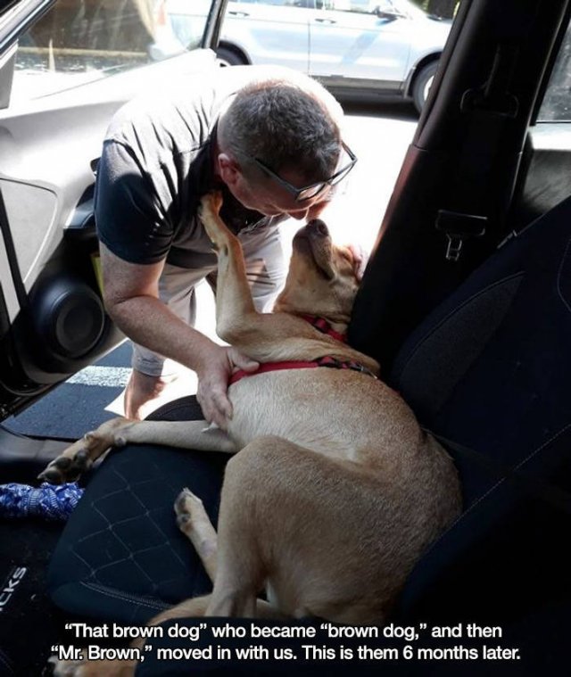 These People Refused To Have Pets (17 pics)