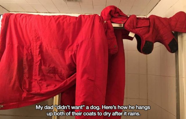 These People Refused To Have Pets (17 pics)