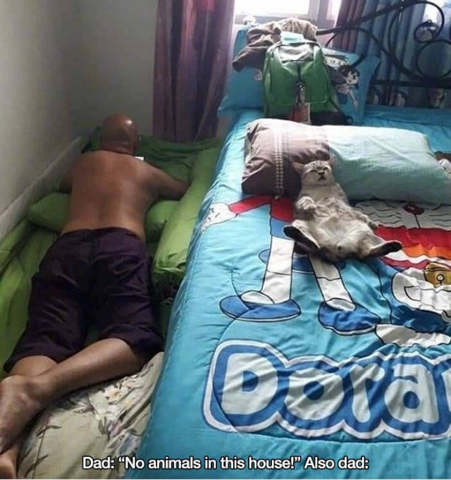 These People Refused To Have Pets (17 pics)