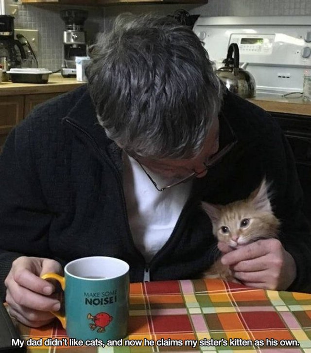 These People Refused To Have Pets (17 pics)