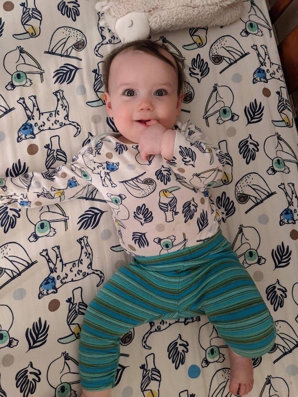 Accidental Camouflage (27 pics) Accidental Camouflage (27 pics)