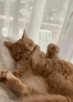 Acid Gifdump, May 13 (25 gifs)