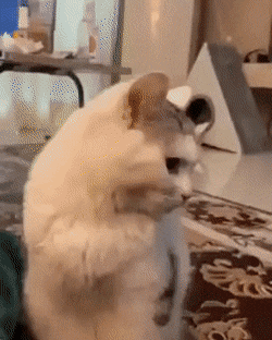 Acid Gifdump, May 13 (25 gifs)
