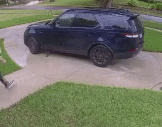Acid Gifdump, May 14 (25 gifs)