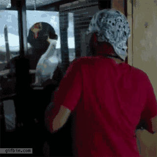 Acid Gifdump, May 14 (25 gifs)