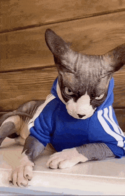 Acid Gifdump, May 14 (25 gifs)
