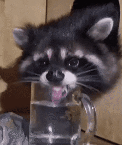 Acid Gifdump, May 14 (25 gifs)