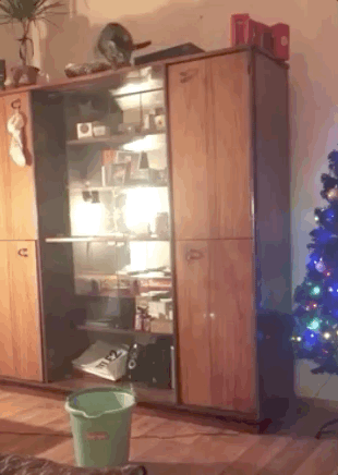 Acid Gifdump, May 14 (25 gifs)