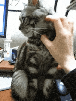 Acid Gifdump, May 14 (25 gifs)