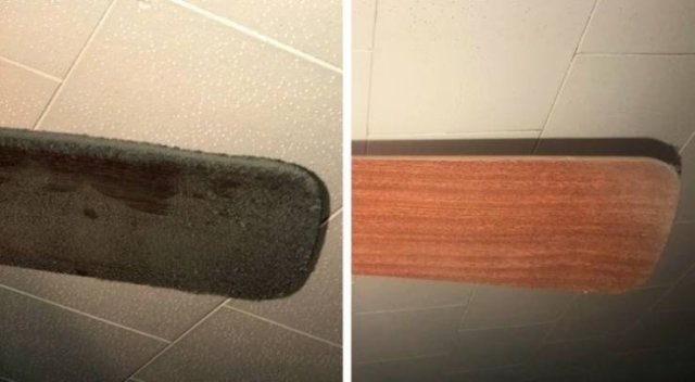 Cleaning Satisfaction (21 pics) Cleaning Satisfaction (21 pics)