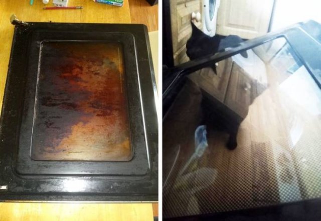 Cleaning Satisfaction (21 pics) Cleaning Satisfaction (21 pics)