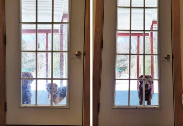 Cleaning Satisfaction (21 pics) Cleaning Satisfaction (21 pics)