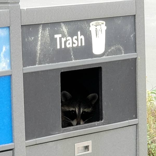 Acid Picdump 1 (82 pics)