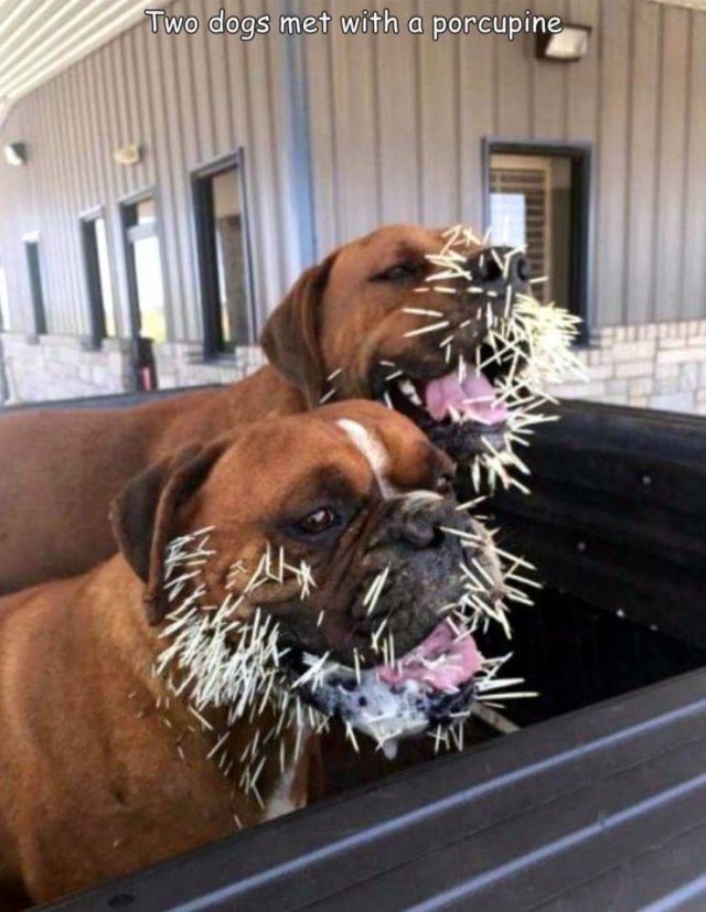 Acid Picdump 2 (80 pics)