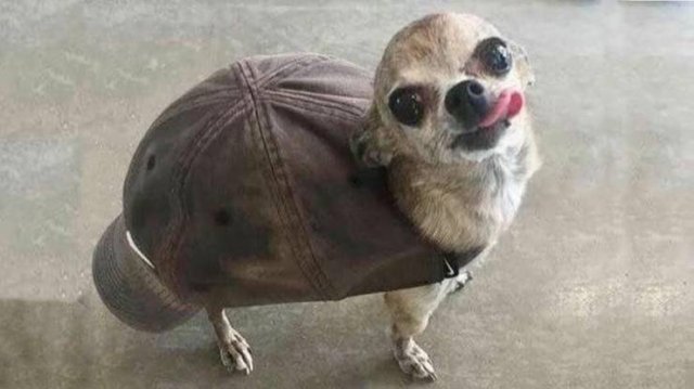 Acid Picdump 1 (82 pics)